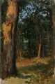 Carl Wilhelm Müller, (zugeschr.), Kleine Waldstudie, 1880, Öl auf Leinwand, auf Malpappe aufgezogen