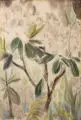 Georg Hermann Gelbke, Rhododendron I