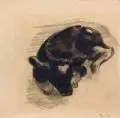 Gerhard Schrader, Liegendes Kälbchen, 1946, Kohlestiftzeichnung auf Pergamentpapier