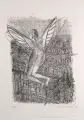 Claus Weidensdorfer, Fee, 1998, Lithographie auf "Hahnemühle"-Bütten
