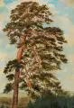 Adolf Fischer-Gurig, Alte Kiefer