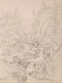 Oskar von Alvensleben, Die Rottachfälle, Bleistiftzeichnungen, partiell weiß gehöht