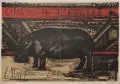 Bernard Buffet, Cirque de l'étoile - L'Hippopotame en Liberté, 1969, Farblithographie auf "Arches"-Velin