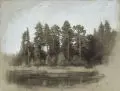 Richard Dreher, Heiligensee