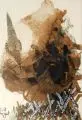 Wieland Richter, Rückkehr zum Mythos, 1996, Farblithographie auf Kupferdruckpapier