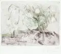 Pia Zunker, Schneeglöckchen, 1989, Farbradierungen