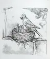 Erhard Hippold, Fütternde Amsel