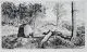 Max Klinger, Simplicius in der Waldeinöde, 1881, Radierung auf aufgewalztem französischen China