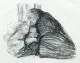 Städtisches Obdach by Käthe Kollwitz, 1926, Lithographie auf weißem Kunstdruckpapier, offered Dec 2010