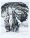 Ernst Fuchs, Baum der Erkenntnis. Ohne Jahr, Kolorierte Lithographie auf "BFK-RIVES"-Bütten