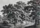 Carl Wilhelm Kolbe, Planwagen in einer baumbestandenen Landschaft. Spätes 18. Jh