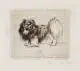 Richard Müller, Pekinese (nach links), 1922, Kaltnadelradierung in Dunkelbraun auf chamoisfarbenem Bütten