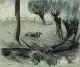 Paul Schad-Rossa, Tanz/ Kuh am Teich, Um 1900, Kohlezeichnungen und farbige Pastellkreide