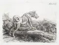 Johann Adam Klein, Die Hunde bei der Kiste, Radierungen in der Platte monogrammiert und datiert u.re/ o.re. "JAK. f. 1832"