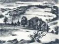 Max Nehrling, Hügelige Landschaft. Ohne Jahr, Kohlezeichnung