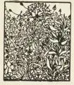 Alexander Olbricht, Wicke/ Fruchtbäumchen. Frühes 20. Jh, Lithographien auf Bütten und Foto-Lithographie