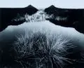 Robert Häusser, Moor, 1984, Silbergelatineabzug