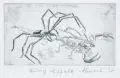 Gussy Hippold-Ahnert, Spinne und Skorpion, 1937, Radierung auf Bütten