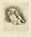 Richard Müller, Pekinese sitzend, 1921, Radierung