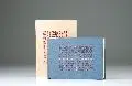 Peter Wagler, Die Kreuzigung, 1993, Gebundenes Buch mit 18 Federzeichnungen und Collagen auf Radierung