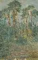 Hugó Poll, (zugeschr.), Waldlandschaft, Um 1900, Tempera (?)