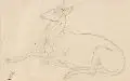 Carl Gottlieb Peschel, Drei Tierstudien