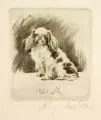 Pekinese sitzend by Richard Müller, 1921, Radierung, offered Sep 2008
