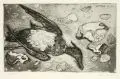 Erhard Hippold, Tote Wildente am Strand II, 1971, Radierung