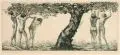 Alois Kolb, Weibliche Akte unter einem Apfelbaum, Um 1900, Radierung. in Grün