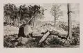 Max Klinger, Simplicissimus in der Wald-Einöde, 1881, Aquatintaradierung
