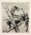 Josef Hegenbarth, Pandabär, Um 1936, Radierung