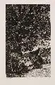 Max Klinger, Gefallener Reiter, 1881, Aquatintaradierung