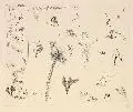 Thomas Ranft, Die Nacht der tausend Träume (für J. B.), 1986, Radierung