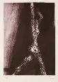 Peter Schnürpel, Sieger, 1974, Radierung in Violett