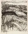 Claus Weidensdorfer, Liegender weiblicher Akt. Ohne Jahr, Lithographie