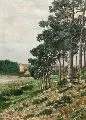 Max Asperger, Waldlandschaft, Um 1920, Öl auf Hartfaser