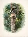 Herrmann Krabbes, Andachtssäule im Wald, 1890, Aquarell