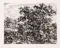 Carl Wilhelm Kolbe, Hügelige Waldlandschaft mit jungem Paar, Um 1800, Radierung