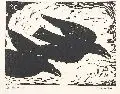 Pol Cassel, Vogelflug