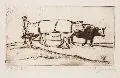 Kurt Eberhard Göllner, Bauer mit Ochsengespann. 1. H. 20. Jh, Radierung. in Braun mit Tonplatte