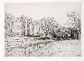 Walter Conz, Landschaft mit Bach, Um 1910, Radierung
