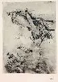 Erhard Dörner, Dünenlandschaft, Um 1920, Federzeichnung in Tusche, laviert