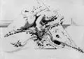 Karl Lorenz Kunz, Komposition, 1960, Graphitzeichnung auf gelblichem Papier