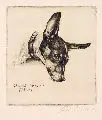 Mein Hund Boy by Richard Müller, 1915, Radierung in Schwarzbraun, offered Sep 2007