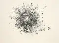 Manfred Butzmann, Blumenstrauß, 1966, Lithographie auf chamoisfarbenem Papier