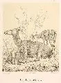Hugo Bürkner, Hirschkuh mit Kälbchen, Um 1870, Radierung sparsam weiß gehöht