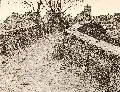 Adolf Luntz, Nach dem Regen, Um 1905, Radierung
