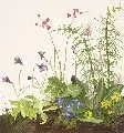 Minni (Hermine) Herzing, Blumenstück
