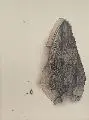 Bruno Bruni, Jacke, 1978, Farblithographie auf bräunlichem Papier