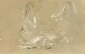 Maurice Denis, Mädchen beim Kranzbinden